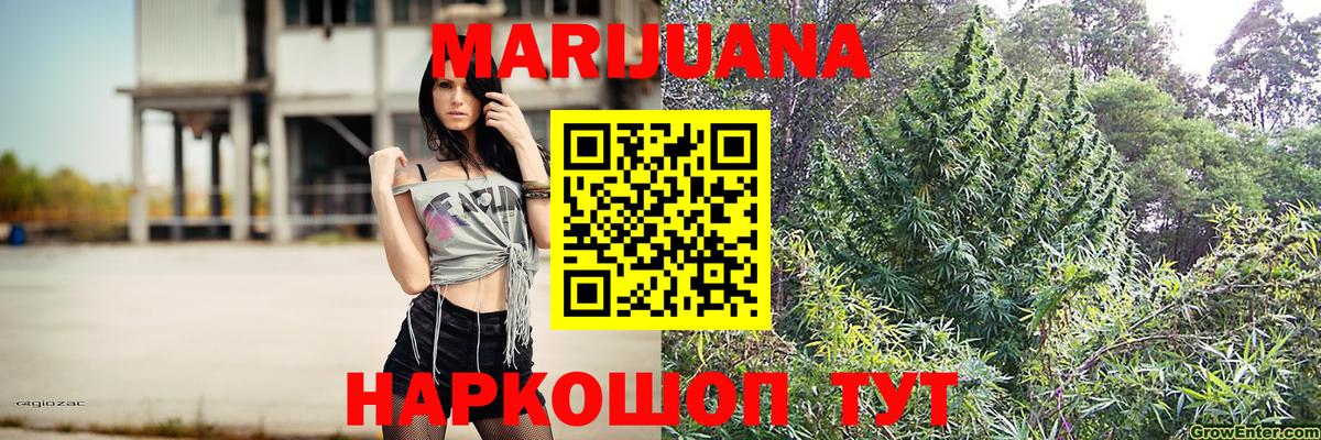 Каннабис сатива Люберцы